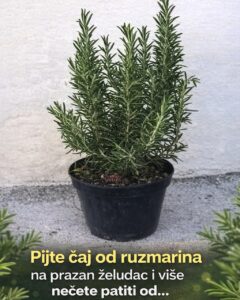 645762696_10230804941137319_4583231197718623280_n