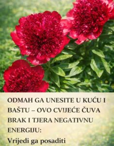 646332074_1476498433844683_4733281392626780407_n