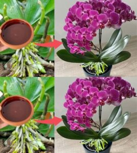 647080132_26267865002846560_4044234616959282822_n