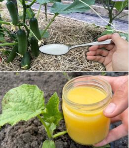 647248985_26267865116179882_6108947129115706318_n