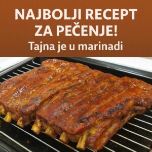 647394516_26283053507994376_8370678102012412499_n