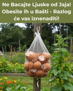 647742924_26274742518825475_6076500354655469629_n