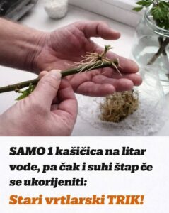 648192161_1490454652647427_3864096281917717607_n