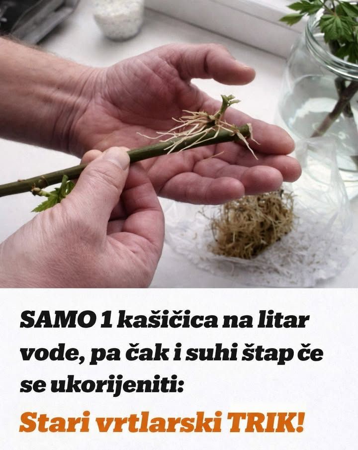 648192161_1490454652647427_3864096281917717607_n