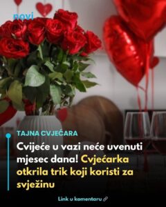 648851996_927107183279275_1105917548074410444_n