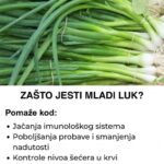 Pored toga što je ukusan, jako je i zdrav – Evo zašto biste trebali jesti mladi luk i kod čega sve pomaže