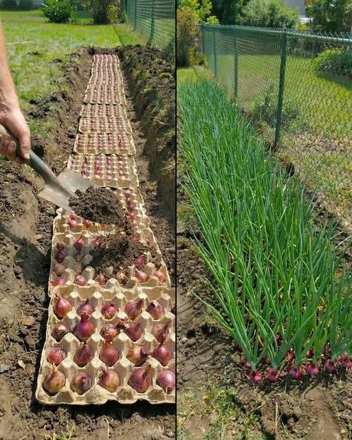 649146340_1548528906833449_7701134244432659213_n