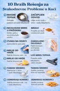 649151984_1518784309808280_7680574828749391657_n