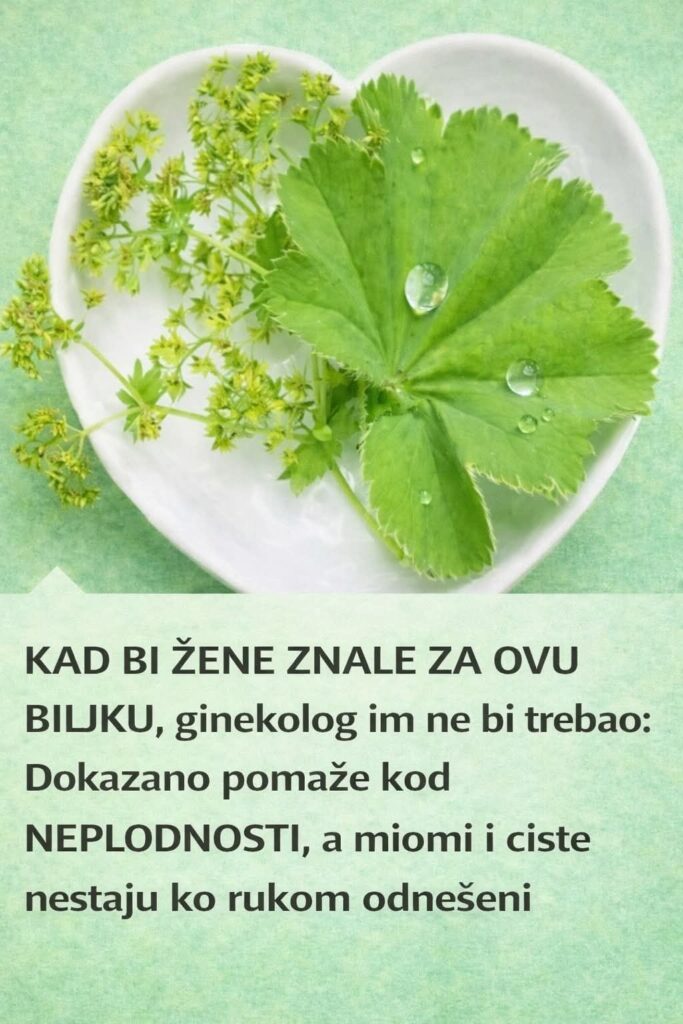 649908536_26300823762884017_7284380756229896129_n