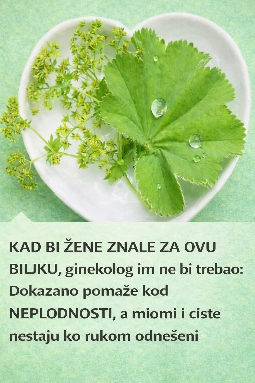 649908536_26300823762884017_7284380756229896129_n