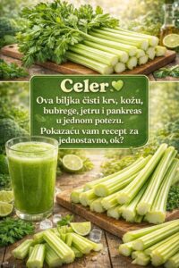 651385727_122186437046763532_4220842889101585168_n