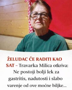 652886401_1484191706401575_5988522319816844001_n