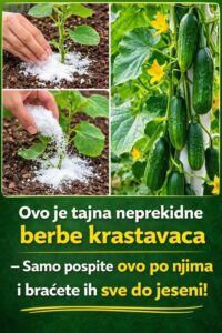 653397598_122114421873242135_3426162131379034411_n