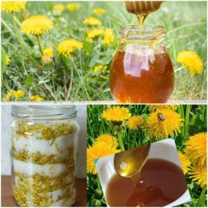 653849969_1386652816822129_563287621763619511_n