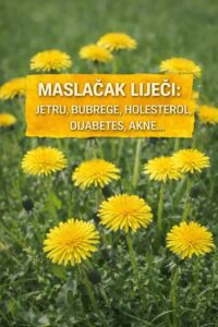 655915786_122115233865242135_2403718952125502011_n