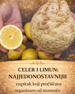 656362573_1387356056764327_4600140130044402322_n