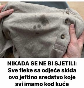 656442902_1371200458368647_2968481086134170974_n