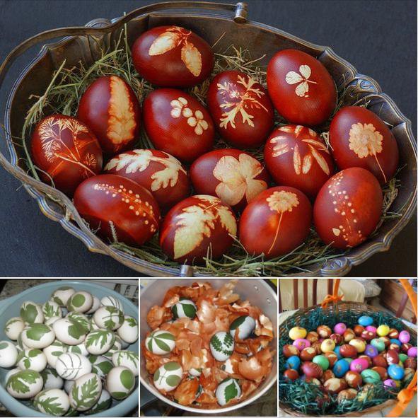 656451757_986050527284324_190670517420713468_n