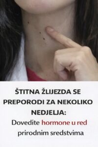 656462172_122185199990435682_6732118504441498399_n