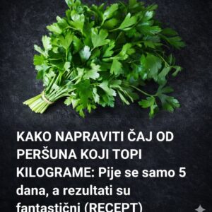 656691038_1260880076166510_7003791171449302588_n