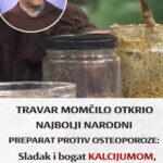TRAVAR MOMČILO OTKRIO NAJBOLJI NARODNI PREPARAT PROTIV OSTEOPOROZE: Sladak i bogat KALCIJUMOM, a uzima se 2 puta dnevno