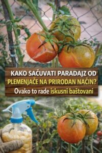 656916494_122115872673242135_5562474661161695184_n