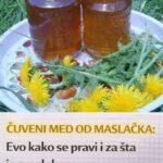 ČUVENI MED OD MASLAČKA: Evo kako se pravi i za šta je sve dobar…