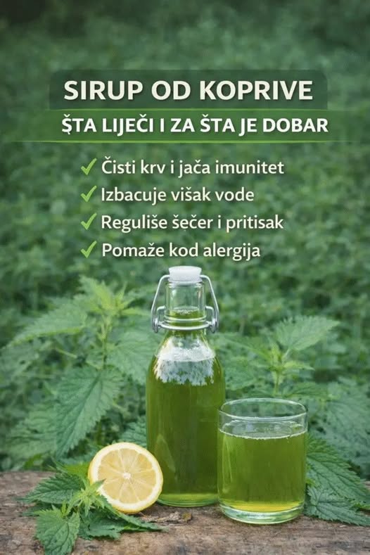 656975231_122115393453242135_5457376657959815587_n