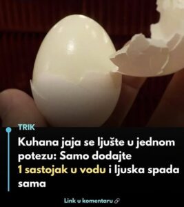 657140008_2610617589334622_4669461196269902699_n