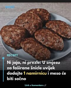 657582724_1410319351132256_1224192724982733237_n