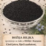 Božija biljka, spominje se čak u Bibliji i Kuranu: Čisti jetru, liječi nadutost, jača krvne sudove i imunitet