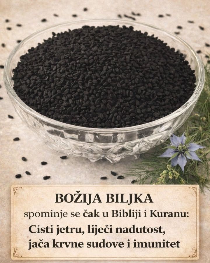 657687187_1494442628709816_342573374631457450_n