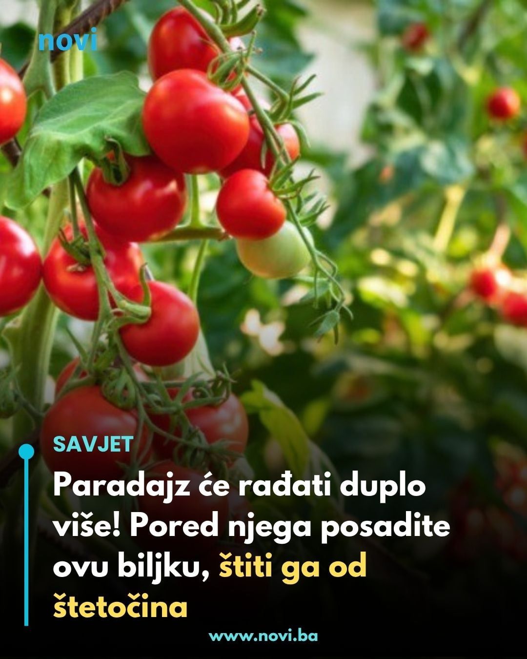 658177358_937785032211490_5600329316574635175_n