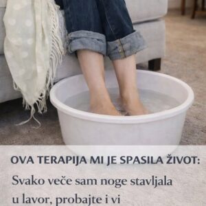 658391045_1496457908508288_6344678202869274522_n