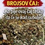 BROJSOV ČAJ: Ko pije ovaj čaj teško da će se ikad razboljeti