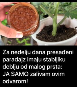 505701919_10227627802630842_7588952330519584161_n