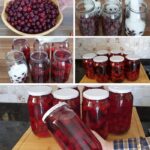 Metoda koju me je mama naučila😋 KOMPOT OD VIŠNJA ILI TREŠANJA BEZ KUVANJA I CEĐENJA✅