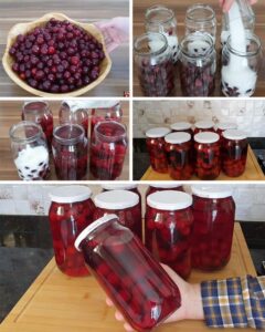 506413207_10227659446981931_3435786220613820721_n