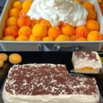 Savršen kolač od kajsija za samo 10 minuta! Najpoznatiji recept za kajsije. Topi se u ustima.