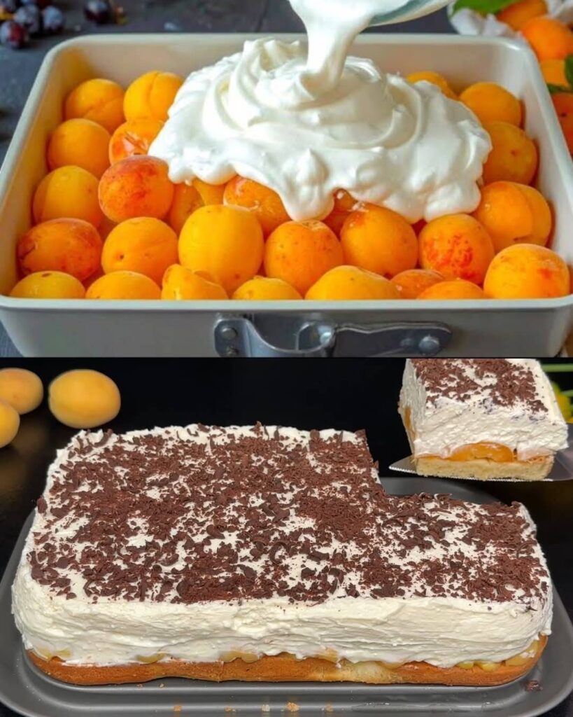 516328188_774278955128150_661025438603043898_n