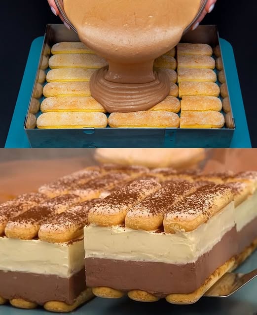 516894688_10228340865496968_5965981590253032686_n