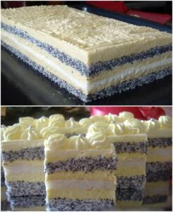 517201682_10228339695187711_3153811956183384334_n