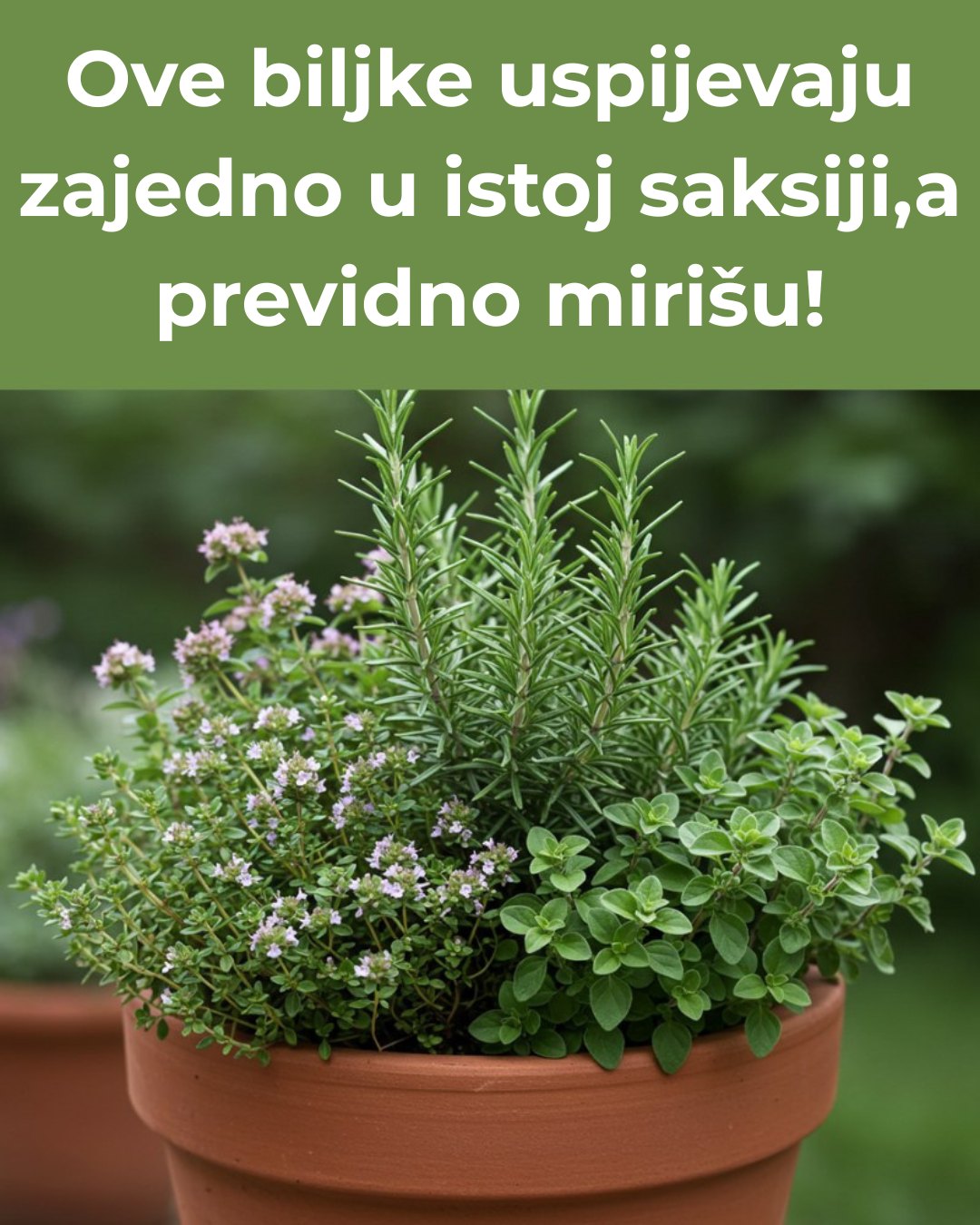 517354123_10228350389695067_1475347065611361478_n