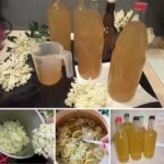 SOKOM OD ZOVE PROTIV OPAKIH BOLESTI: Pravi se lako, ne košta ništa, a MNOGO VREDI!