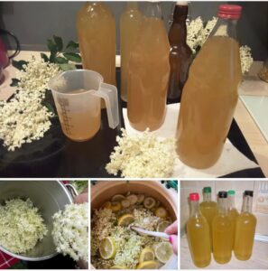 517883417_10228345274207183_8836993513988097531_n