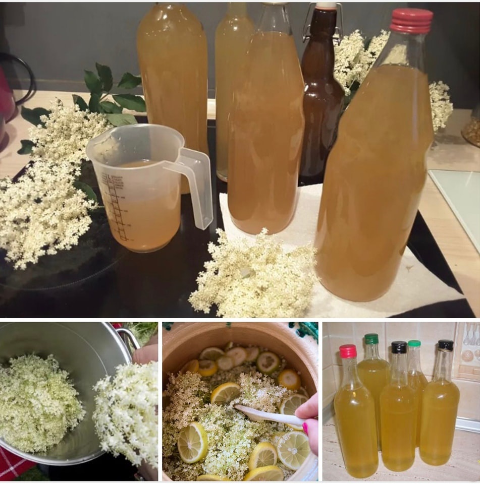 517883417_10228345274207183_8836993513988097531_n