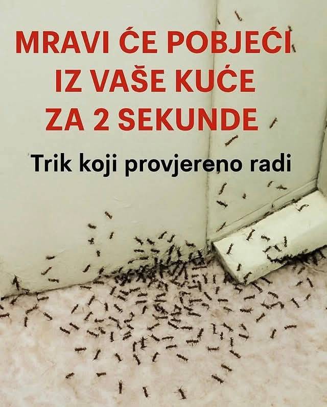 527440995_10228620072196961_3286822898522802501_n