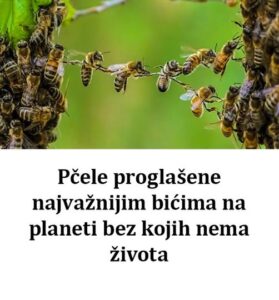 544950739_1366764435010269_292661975077094041_n