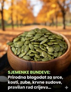 605084203_10230042680081269_6826931970820273647_n