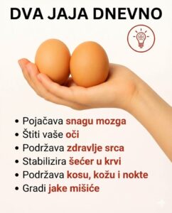 627670162_122180744282763532_7341615949786081422_n